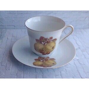 Vintage Bareuther Waldsassen Fruit & Nuts Porcelain Tea Cup and Saucer Gold Trim
